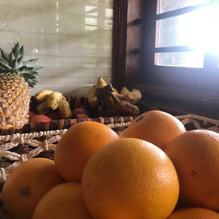 Villa Wodeyarmutt Sringeri Esterno foto